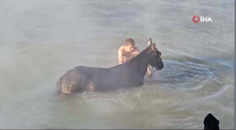 Burası Antartika değil Bitlis! Eksi 15 derecede atlarla kaplıca keyfi - Resim: 7